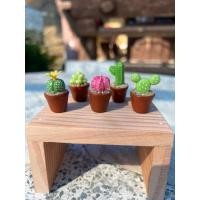 ราคา แคคตัสจิ๋วดินปั้นในกระถาง แม่เหล็กติดตู้เย็น 1 เซต บรรจุ 5 ชิ้น กว้าง 1.5 ซม. สูง 3-4 ซม. (27572657766)