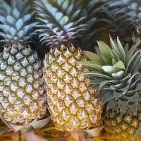 ราคา สับปะรด ปัตตาเวีย เนื้อสีทอง กลิ่นหอม หวานฉ่ำ สดจากไร่ คัดพิเศษลูกใหญ่ (28361272151)