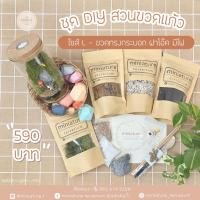 ราคา ชุดจัดสวนขวดแก้ว ไซส์ L -ขวดทรงกระบอก ฝาโอ๊ค มีไฟ (8.5*15+Light) (21173178027)