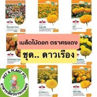 ราคา [ศรแดง][ชุดดอกไม้] ผักซองศรแดง เมล็ดพันธุ์ ผัก ศรแดง (22579324627)