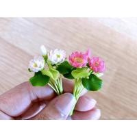 ราคา ดินปั้น ช่อดอกบัวหลวงจิ๋ว สีชมพู,สีขาว (43805619556)