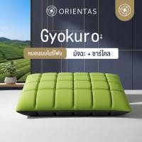 ราคา Orientas หมอนเต๋าสลบเหมือด Gyokuro หมอนเมมโมรี่โฟม เพื่อสุขภาพ ออกแบบ 2 โทน ส่วนผสม ชาเขียว ชาร์โคล (21145508342)