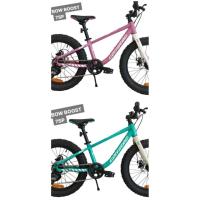 ราคา จักรยานเสือภูเขาล้อโตเด็ก Coratec Big Foot ล้อ 20 นิ้ว (26400350815)