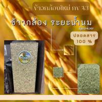 ราคา ข้าวกล้องระยะน้ำนม ข้าวกล้อง กข 43 ขนาด 1 กิโลกรัม ข้าวกล้องบรรจุสูญญากาศอย่างดีทุกถุง ข้าวกล้องน้ำตาลต่ำ (29654488619)