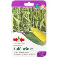 ราคา เมล็ดพันธุ์ข้าวโพดหวาน จัมโบ้ สวีท (26456928116)