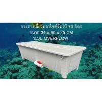 ราคา กระถางเลี้ยงปลาไซซ์จัมโบ้สีขาว ขาววาล์วขาว ระบบoverflow ขนาด34x90x25CM อ่างเลี้ยงปลาเมกาดะ อ่างปลาสวยๆ อ่างเลี้ยงปลา (51405399752)
