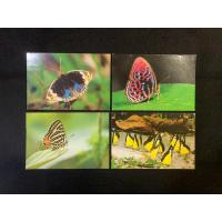 ราคา 1980s-1990 Used Postcards Lot Of Four Butterfly Postcards Used. Minor Toning Lot G (25966226744)
