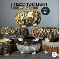 ราคา กระถางดินเผา ลายดินแตก 4 นิ้ว กระถางต้นไม้ ไม้อวบน้ำ กุหลาบหิน cactus&succulent หลากหลายสายพันธุ์ (28950147641)