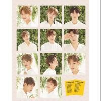 ราคา Wannaone x Innisfree Goods set (1207029181)