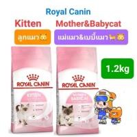 ราคา ขนาดใหม่ Royal Canin Kitten 1.2kg / Royal Canin Mother Babycat 1.2kg โรยัลคานิน อาหาร แม่แมว ลูกแมว ถุงขนาด 1.2 กิโลกรัม (22943415594)