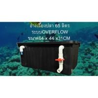 ราคา อ่างเลี้ยงปลา 65 ลิตร อ่างดำท่อขาว ระบบระบายน้ำดูดบนดูดล่าง 64x44x31ซ. อ่างปลาสวย กะบะเลี้ยงปลา อ่างปลาบอลลูน อ่า (48255419602)