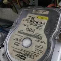 ราคา ฮาร์ดดิสก์ hdd pc wd 80gb sata (3882743497)