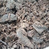 ราคา ใบก้ามปูหมัก หมักใบก้ามปู ใบฉำฉาหมัก ใบก้ามปู Marinated Claw Leaves (18516671039)