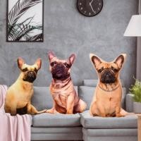 ราคา สินค้าพร้อมส่งในไทย หมาเฟรนบลูด็อก หมอนหมาเฟรนบลูด็อก หมอนหมา หมอนหมา3มิติ (4836510261)