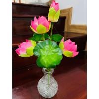 ราคา ดอกบัว (ช่อดอกบัวหลวงพุ่มสวยๆๆ+พร้อมแจกันทรางกลมใส 1ชุด) ดอกไม้ไหว้พระ ชุดดอกไม่้บูชา ถวายพระ (25071054568)