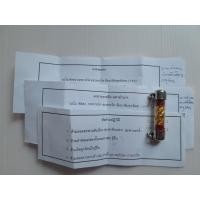 ราคา ตะกรุด หลวงพ่อจำลอง วัดเจดีย์แดง จ.อยุธยา (42118559043)