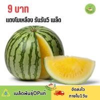 ราคา 9บาท แตงโมเหลือง รันรัน 5 เมล็ด (27650908538)