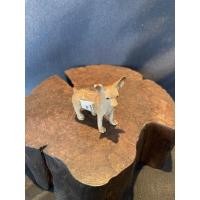 ราคา KC chivhavha -004 หมาชิวาว่า (8627812279)