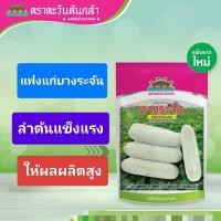 ราคา เมล็ดพันธุ์ ฟักแฟงแก่(แฟงบางระจัน100กรัม) (26163862051)