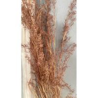 ราคา ดอกตะไคร้หอมตากแห้งไม้มงคลหายากใช้ประดับตกแต่งใส่แจกันให้กลิ่นหอมตะไคร้(1ชุด3กิ่งสูง100cm.) (28374899847)