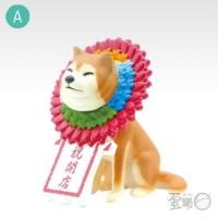 ราคา น่ารักมาก Qualia Pinched Dog 2 Mascot Ball Chain 1 dog stuck in a wreath Shiba Inu น้องหมา ชิบะ อินุ หัวติดพวงดอกไม้ (40772892243)