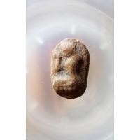 ราคา แม่นางกวัก เนื้อดินเก่า(ไม่ทราบที่) No.42639255 (41927351398)