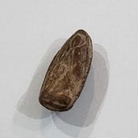 ราคา พระสิวลีเนื้อดิน หลวงพ่อกวย วัดโฆสิตาราม จ.ชัยนาท (24257666089)