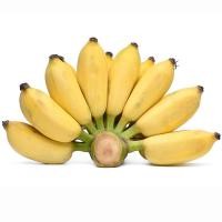 ราคา กล้วยน้ำว้าออร์แกนิค Organic Namwa Banana [หมายเลขบาร์โค้ด 0000024998499 ] สินค้าคุณภาพดี คัดสรรอย่างตั้งใจ (57053144830)