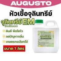 ราคา BioBloom จุลินทรีย์ EM หัวเชื้อชีวภาพ ปรับดิน เร่งโต คุ้มค่า ใช้งานง่าย (49606185357)