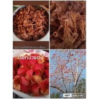 ราคา ดอกงิ้วแดง ตากแห้ง 200กรัม 59 บาท (52855865691)