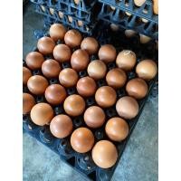 ราคา ไข่ไก่เบอร์ 2 ปลอดสาร สด ใหม่ จากฟาร์มไข่ไก่วิรัช เทวภักดิ์ (22842480424)