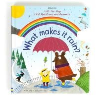 ราคา ต้นฉบับ Usborne Lift The Flap Questions and Answers What Makes It Rain - Leon Books (23732908300)