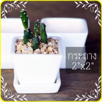 ราคา กระถางเซรามิค+จาน กว้าง 2" x 2" กระถาง​ไม้อวบน้ำ กระถางกระบองเพชร แคคตัส (7394832581)