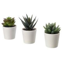 ราคา ⚡⚡IKEA⚡⚡ กระถาง+ต้นไม้ประดิษฐ์ 3ชิ้น (6843165895)