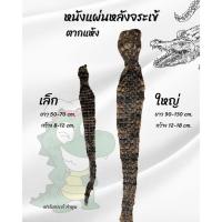 ราคา หนังจระเข้ ส่วนของแผ่นหลัง ตากแห้ง จากฟาร์มจระเข้ ลำพูน (42965716298)