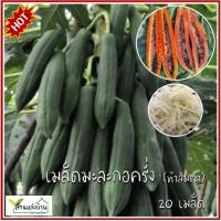 ราคา 20 เมล็ด มะละกอครั่ง เมล็ดมะละกอครั่ง มะละกอคั่ง เมล็ดมะละกอคั่ง มะละกอ เมล็ดมะละกอ มะละกอทำส้มตำ (28761396275)