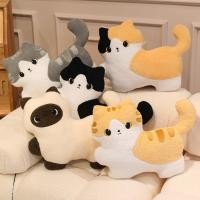 ราคา หมอนแมว หมอนแมวของเล่นตุ๊กตาห้องนั่งเล่นโซฟาเบาะน่ารัก ซานฮวา แมวตุ๊กตารักษาชุดกอดนอนตุ๊กตา งีบหลับ หมอนเด็กของขวัญวันเกิด (26542885782)