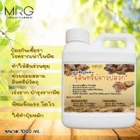 ราคา หัวเชื้อจุลินทรีย์จาวปลวก 1ลิตร จุลินทรีย์จ้าวปลวก (สูตรเข้มข้น) ป้องกันเชื้อรา เร่งราก ช่วยย่อยสลาย พืชโตไว ทำปุ๋ยหมัก (22767036808)
