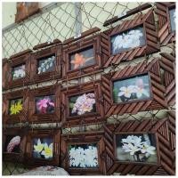 ราคา กรอบรูป 4x6 นิ้ว กรอบรูปติดผนัง กรอบรูปไม้ กรอบรูปไม้ กรอบรูปไม้สัก กรอบรูปแขวนผนัง DIY วินเท็จ (9920591844)