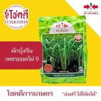 ราคา ผักบุ้งจีน เพชรยอดไผ่ 9 เมล็ดพันธุ์ ผักบุ้งจีน ตรา ศรแดง บรรจุ 1 กิโลกรัม (58150736520)