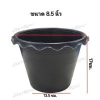 ราคา กระถาง กระถางบัว กระถางปลูกบัว กระถางกันตัน (28660744784)