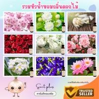 ราคา หัวน้ำหอมกลิ่นดอกไม้ หัวเชื้อน้ำหอมแท้100% กุหลาบ มะลิ จำปี กระดังงา โมก ดอกบัว เป็นต้น (14360469185)