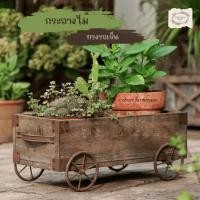 ราคา Vintage farmhouse - รถเข็นไม้ รถเข็นวางกระถางต้นไม้ปลูกต้นไม้สไตล์วินเทจ กระถางต้นไม้แต่งสวน (29366217718)