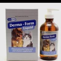 ราคา วิตามินบำรุงขนและผิวหนัง(แบบน้ำ)Derma-Form สำหรับสุนัขและแมวทุกสายพันธ์ุ (exp.7/2024) (2642822455)