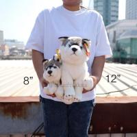 ราคา ตุ๊กตา Siberian Husky ไซบีเรียนฮัสกี้ ท่านั่ง แบบใหม่ 8/12นิ้ว Husky ฮัสกี้ Anee Park อานี ปาร์ค (26173207173)