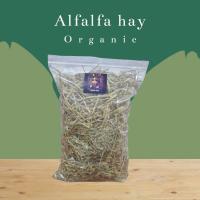 ราคา อัลฟาฟ่า Alfalfa hay อาหารกระต่าย หญ้าแห้งกระต่าย (54803382016)