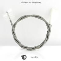ราคา Aqua Pro อควาโปร ขัดตู้ปลา แปรงสปริงทำความสะอาด ท่อน้ำตู้ปลา ตู้ไม้น้ำ ตู้ทะเล ยาว 60 cm 150 cm หัวแปรง 2 แบบ (24770945719)