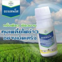 ราคา อะแลนโต ไทอะโคลพริด คุมได้นาน 21 วัน +เขียวนาน สารป้องกันและกำจัดแมลง เพลี้ยไฟในข้าว ( 100 ซีซี ) (25675129558)