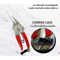 ราคา กรรไกรตัดกิ่งปากตรง / กรรไกร / สแตนเลส 7 นิ้ว SOLEX รุ่น 155ss / กรรไกรตัดกิ่งไม้ / สแตนเลด ( Pruning Shear ) / กรรไกร (5237002429)