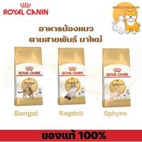 ราคา (( 400 กรัม)) Royal canin Adult Bengal Ragdoll Sphynx . อาหารแมวโตพันธ์เบงกอล แร็กดอลล์ สฟิงซ์ ชนิดเม็ด (26711699942)